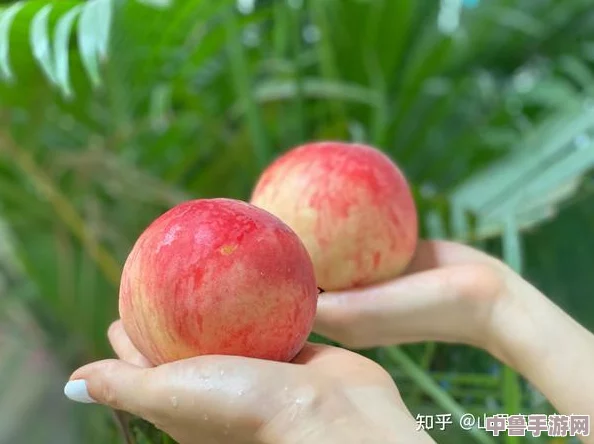 蜜桃视频在线观看入口：甜蜜多汁，一触即发，让你欲罢不能的视觉盛宴
