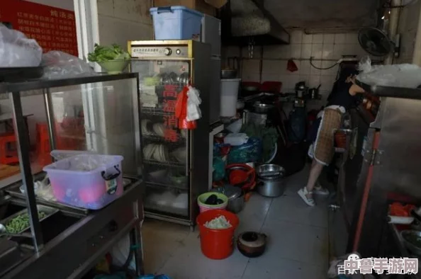 棚户区红灯亮路边快餐安全吗？用户评价揭示了这些快餐卫生和安全问题的潜在隐患！