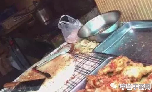 棚户区红灯亮路边快餐安全吗？用户评价揭示了这些快餐卫生和安全问题的潜在隐患！