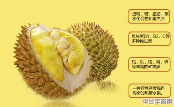 榴莲黄色视频：探讨用户热评与见解，揭开独特内容背后的秘密与魅力