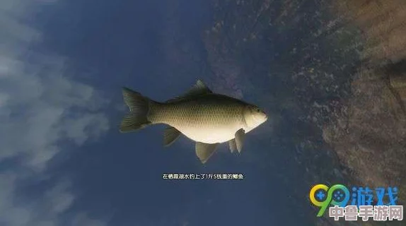 古剑奇谭三：全水域鱼类搜罗指南，鲫鱼位置及珍稀图鉴大全