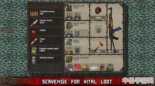 《DayZ》独立版生存指南:从零开始掌握必备物品与技巧! 《DayZ》独立版生存指南:从零开始掌握必备物品与技巧!