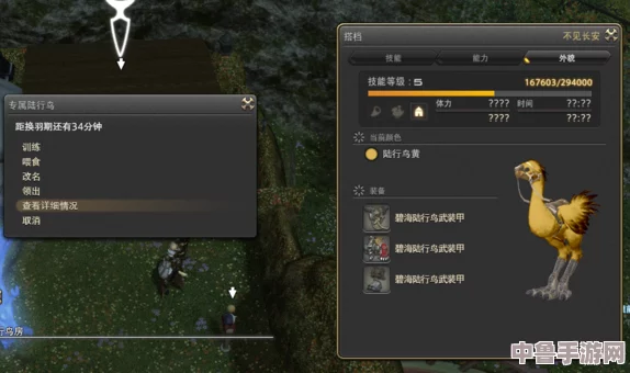 FF14：如何轻松获取稀有游星鸟宠物，让你的冒险之旅更添光彩！