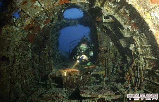 探秘海上遗迹:船舶墓地模拟器2全攻略与深度玩法解析! 探秘海上遗迹:船舶墓地模拟器2全攻略与深度玩法解析!