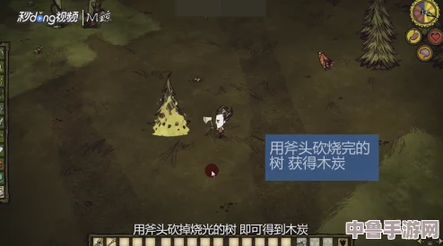 饥荒生存秘籍：高效获取木炭的绝妙方法大公开！