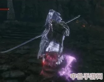 《只狼》神秘道具：神之飞雪的高效获取攻略与技巧！