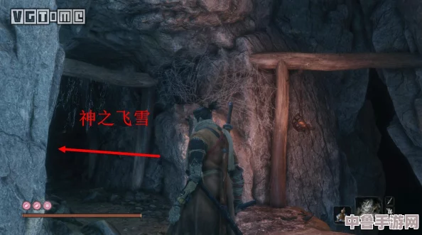 《只狼》神秘道具：神之飞雪的高效获取攻略与技巧！