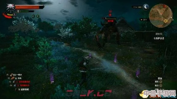 《巫师3》高效刷钱秘籍:快速致富的全方位赚钱攻略 《巫师3》高效刷钱秘籍:快速致富的全方位赚钱攻略
