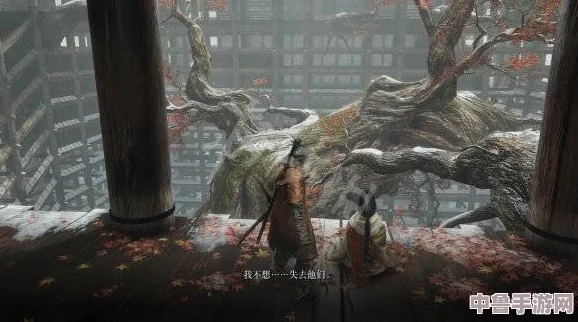 深度解析《只狼：影逝二度》全支线剧情，仙峰上人背后的故事与秘密