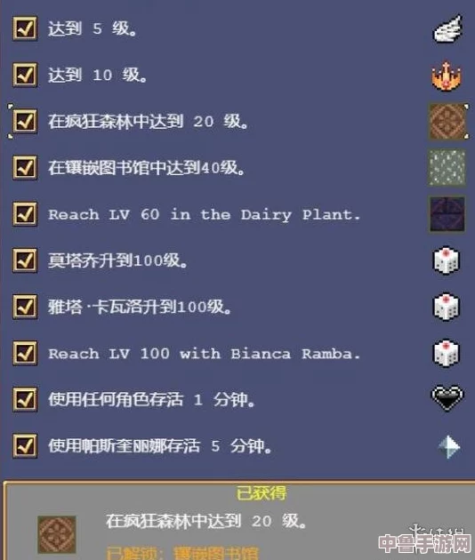 吸血鬼幸存者轻松上手：详细中文设置方法，畅玩无障碍指南！