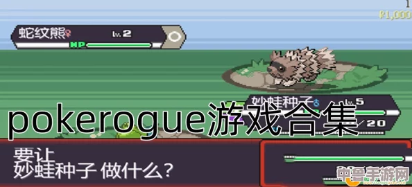 PokeyPoke深度攻略宝典：解锁全关秘籍，专属策略专区！