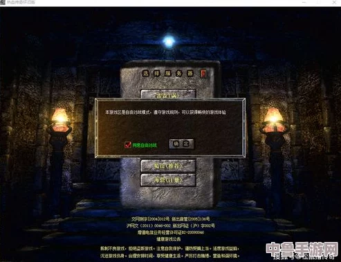 一键激活无敌模式的神秘代码全攻略！