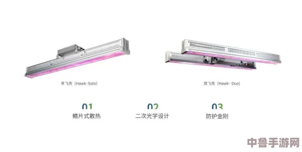 解锁我的世界高效探索：侦测器全方位使用技巧与妙用指南