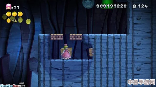 【深度探索】新超级马里奥兄弟U豪华版：薄荷诸岛全要素收集，智擒狡猾偷天兔视频攻略！
