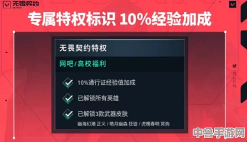 无畏契约游戏容量：详尽解析安装所需多少GB存储空间！