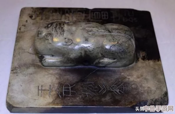 失踪学者踪迹：全球搜寻热点与潜在线索大起底