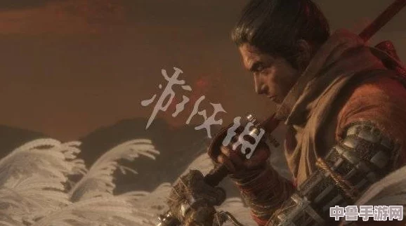 深度攻略：解锁只狼苇名弦一郎三阶段奥义，技能详解助你无伤通关挑战！