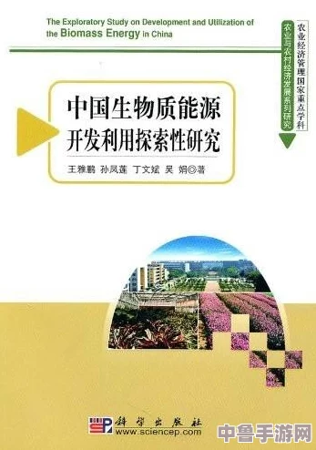 探索石珀珍稀之源：最佳购买地点与渠道
