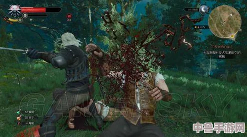 《巫师3》深度攻略：水鬼与沼泽巫婆战斗技巧大，助你轻松制敌！
