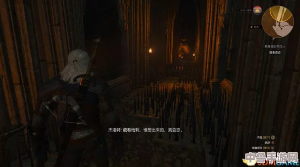 《巫师3：狂猎》深度攻略——寻找失踪安娜的惊险之旅