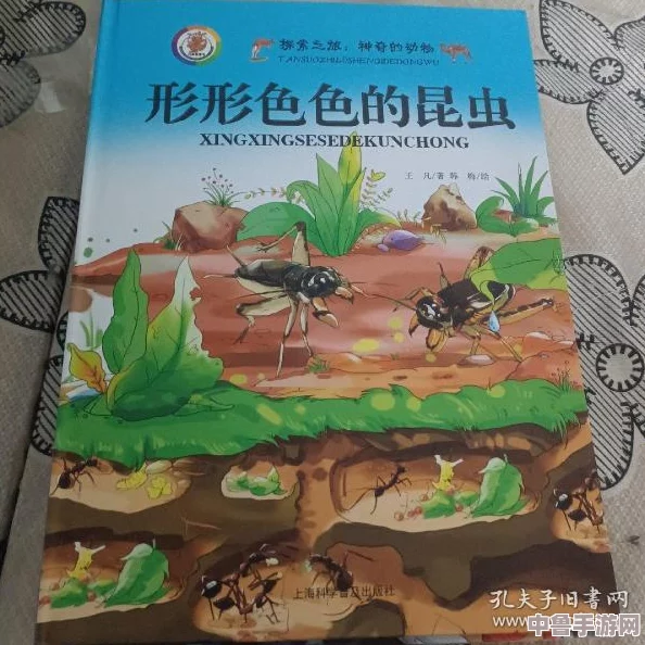 《动物森友会》梦幻凤蝶全昆虫图鉴珍藏版,探索自然奇妙之旅! 《动物森友会》梦幻凤蝶全昆虫图鉴珍藏版,探索自然奇妙之旅!