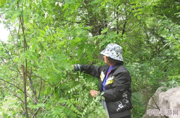 饥荒联机版：植物人开花背后的神奇效用与功能全解析！