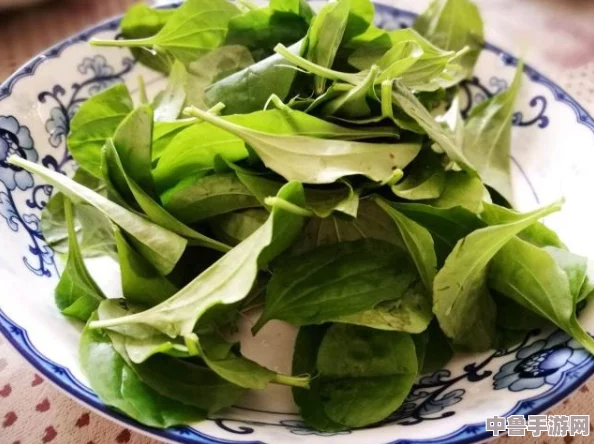 饥荒联机版：植物人开花背后的神奇效用与功能全解析！