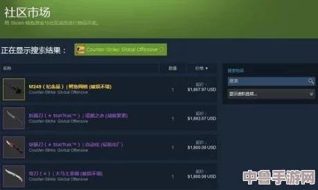 Steam交易链接获取技巧：轻松查看与分享方法大全