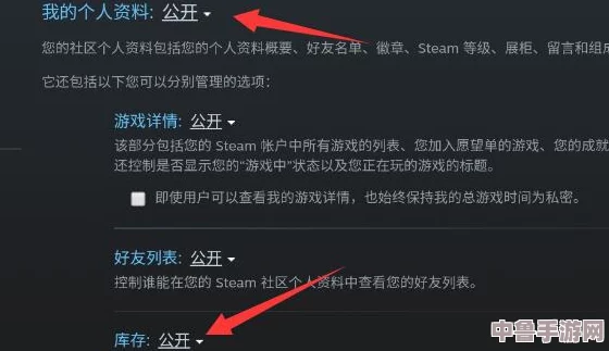 Steam交易链接获取技巧：轻松查看与分享方法大全