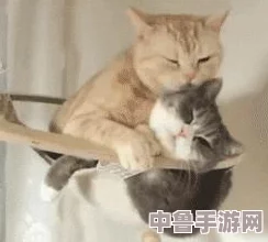 怪物猎人世界：终极猫奴指南！全猫咪技能解锁秘籍与高清图文教程